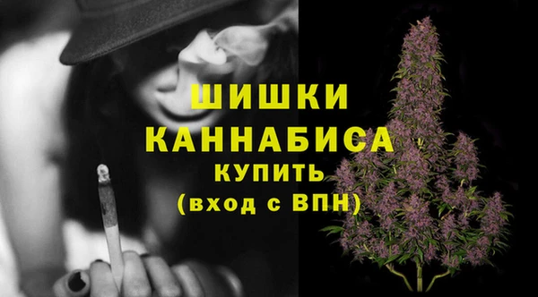 mdpv Инсар