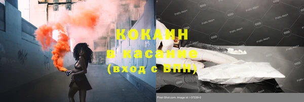 mdpv Инсар
