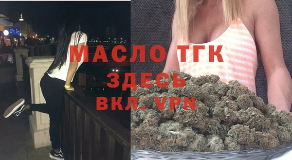 mdpv Инсар