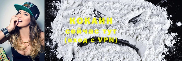 mdpv Инсар