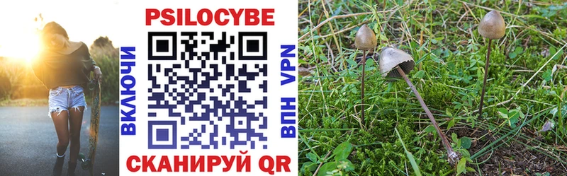 Купить где  Ростов  Галлюциногенные грибы мицелий 